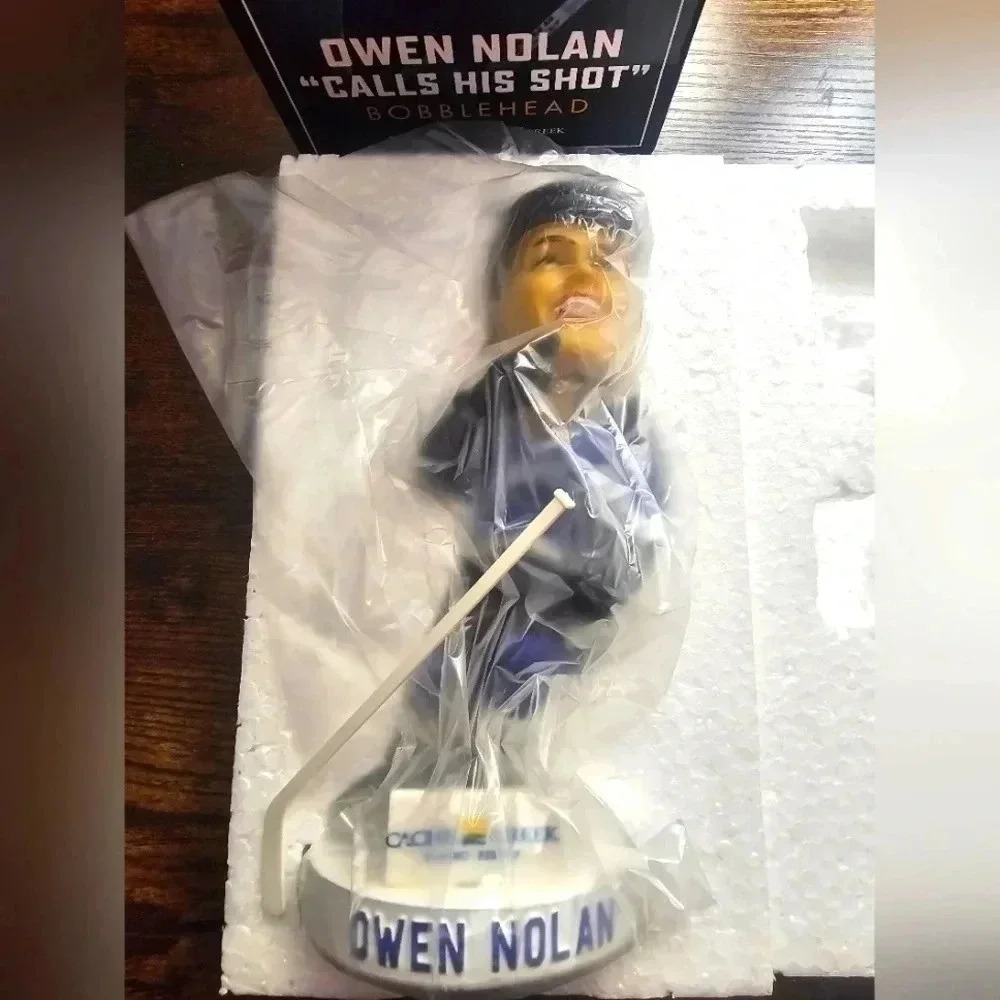 SJ Sharks Bobble Head- Owen Nolan